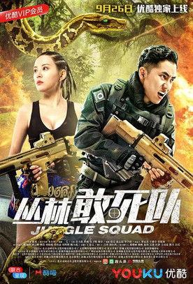 丛林敢死队 film afişi