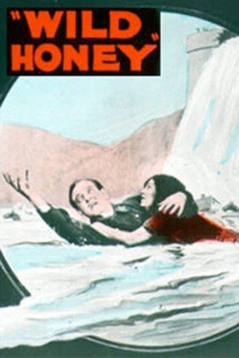 Wild Honey film afişi