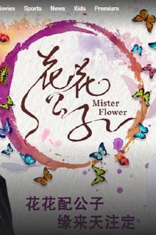 Mister Flower dizi afişi