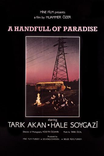 Bir Avuç Cennet film afişi