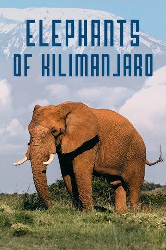Elephants of Kilimanjaro film afişi
