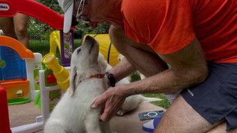 3/12/2023: Tales of our Four-Legged Friends