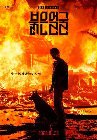 Red Face film afişi