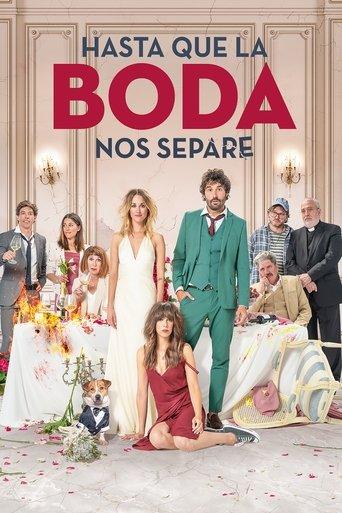 The Wedding Unplanner film afişi