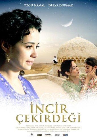 İncir Çekirdeği film afişi
