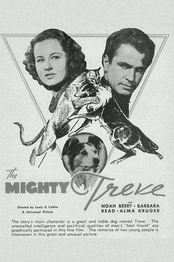 The Mighty Treve film afişi