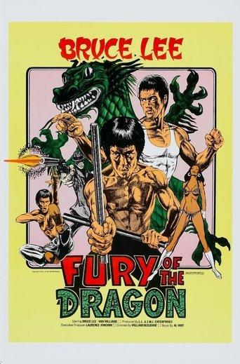 Fury of the Dragon film afişi