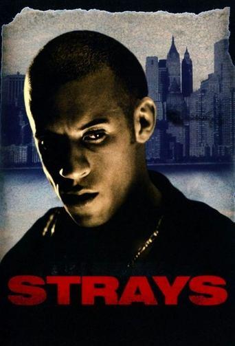 Strays film afişi