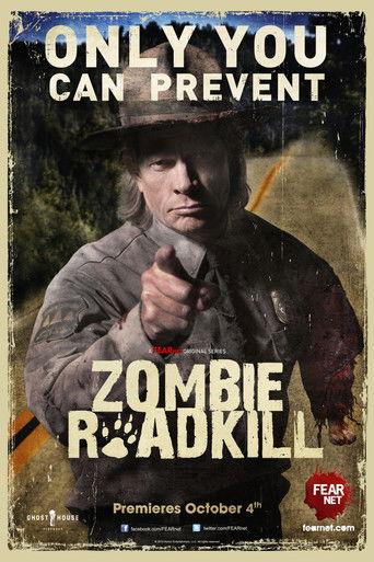 Zombie Roadkill dizi afişi