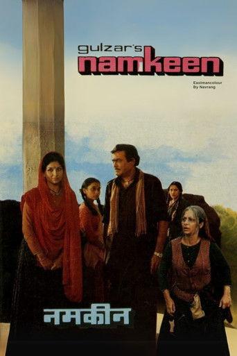 Namkeen film afişi