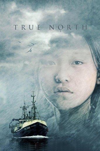 True North film afişi