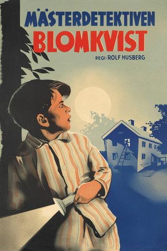 Master Detective Blomkvist film afişi