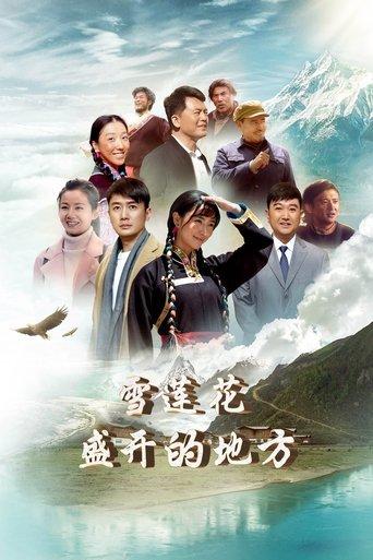 雪莲花盛开的地方 dizi afişi