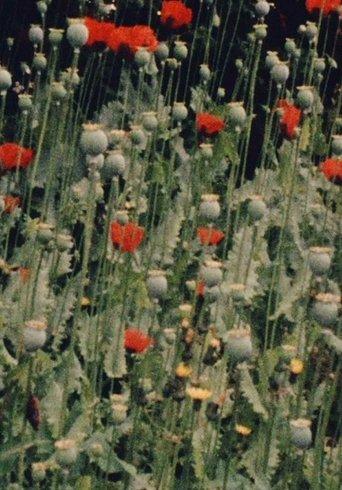 Place of Work film afişi