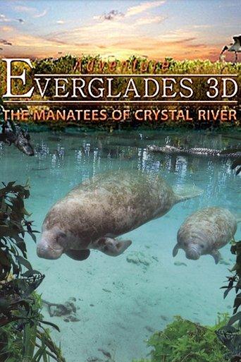Adventure Everglades 3D - The Manatees of Crystal River film afişi