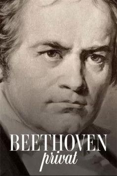 Beethoven privat film afişi