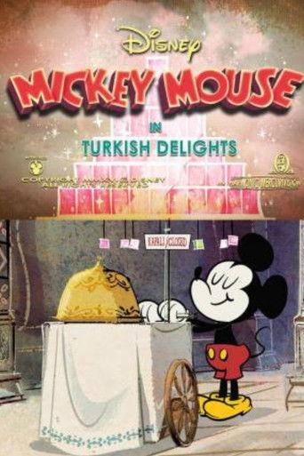 Turkish Delights film afişi