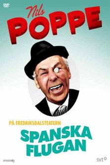 Spanska flugan film afişi