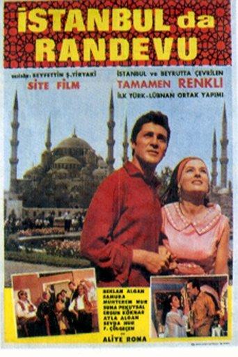 Love in Istanbul film afişi