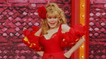 Welcome to the DollHouse