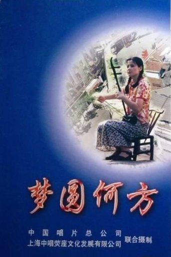 梦圆何方 dizi afişi