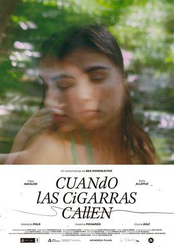 When the cicades fall silent film afişi