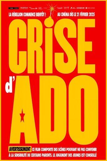 Crise d'ado film afişi