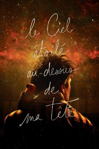 The Starry Sky Above Me film afişi