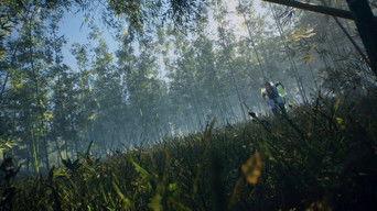 Human Beings are Possible