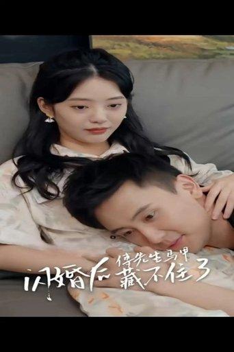 闪婚后，傅先生马甲藏不住了 dizi afişi