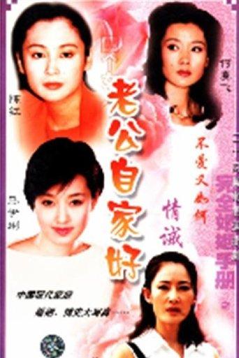 完全婚姻手册 dizi afişi