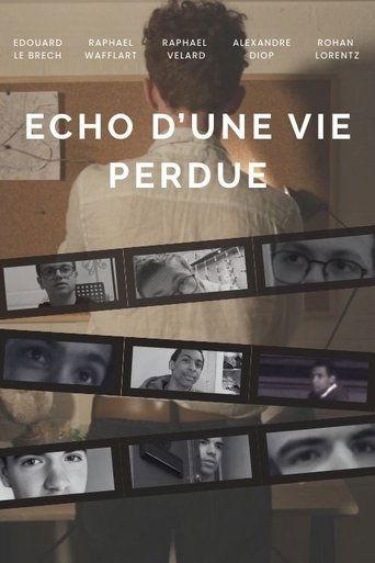 Echo d'une vie perdue film afişi
