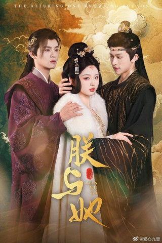 朕与她 dizi afişi