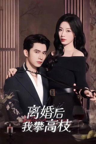 绯色过浓 dizi afişi