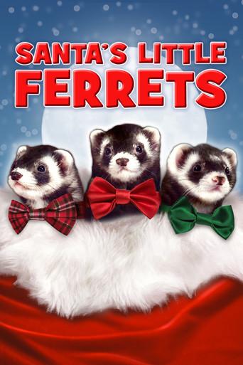 Santa's Little Ferrets film afişi