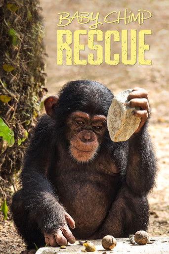 Baby Chimp Rescue dizi afişi