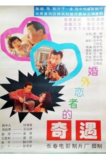 婚外恋者的奇遇 film afişi