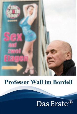 Professor Wall im Bordell film afişi
