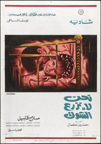 We Do Not Sow The Thistle film afişi