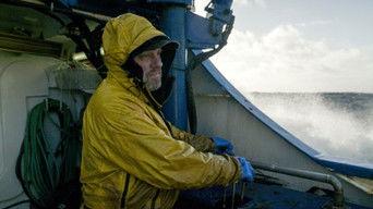 The Twenty-Season Toll