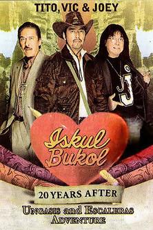 Iskul Bukol 20 Years After (Ungasis and Escaleras Adventure) film afişi