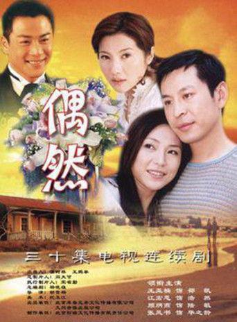 accidental dizi afişi