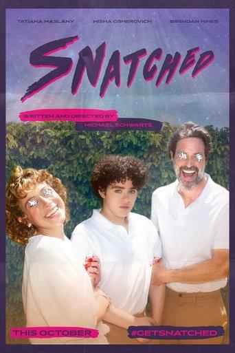 Snatched film afişi