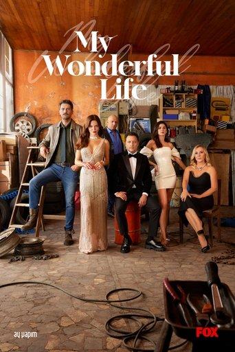 My Wonderful Life dizi afişi