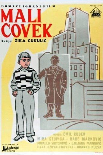 Little Man film afişi