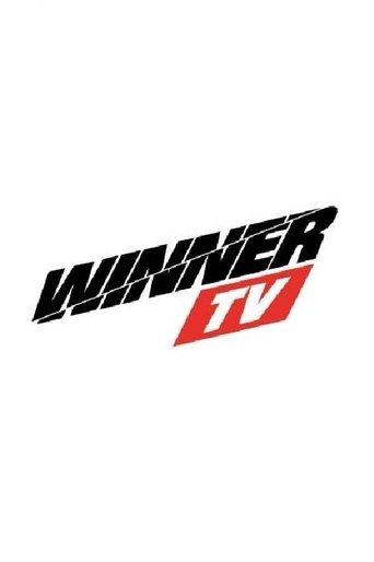Winner TV dizi afişi