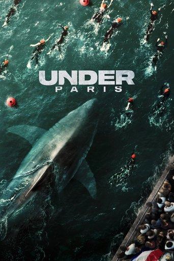 Under Paris film afişi