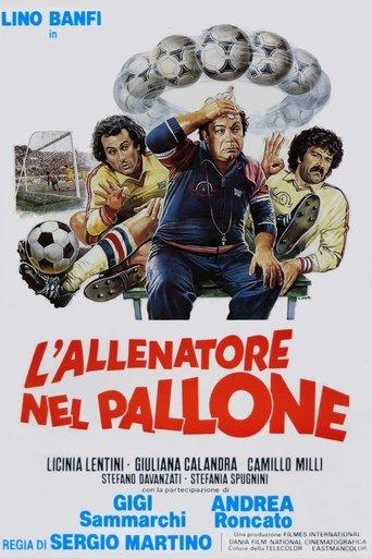 L'allenatore nel pallone film afişi