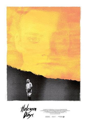 Schwarzer Regen film afişi