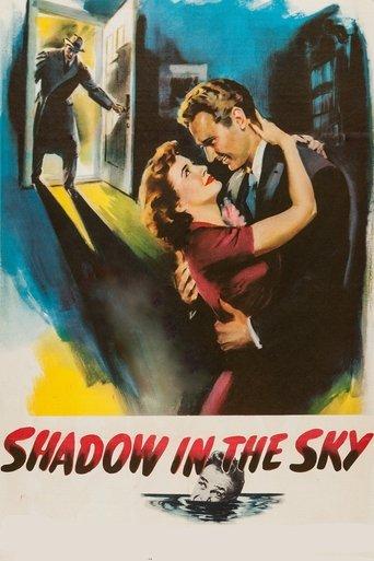 Shadow in the Sky film afişi